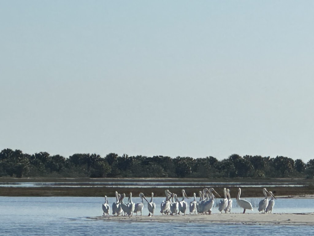 Fish Master Charters | 104 St Marys St W, St Marys, GA 31558, USA | Phone: (912) 552-5995