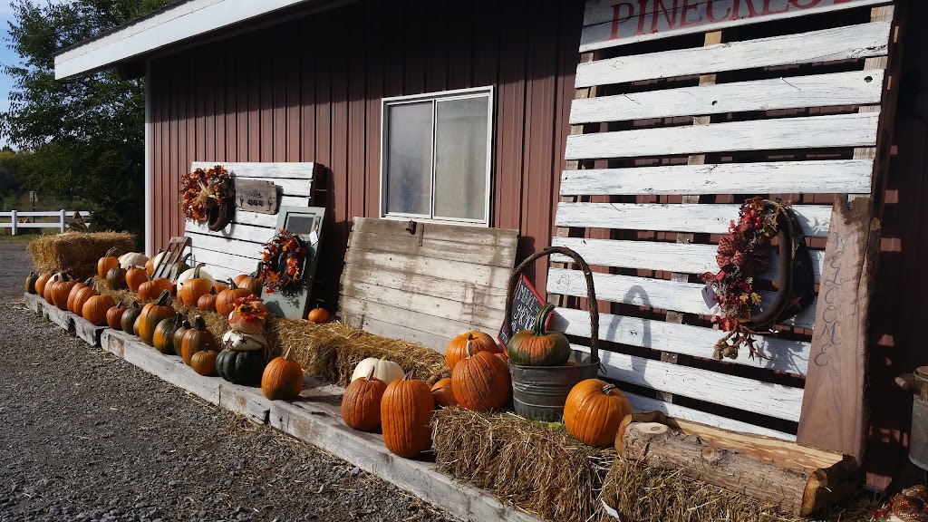 Pinecrest Tree Farm | 503 S Walnut St, Blue Springs, NE 68318, USA | Phone: (402) 645-3010