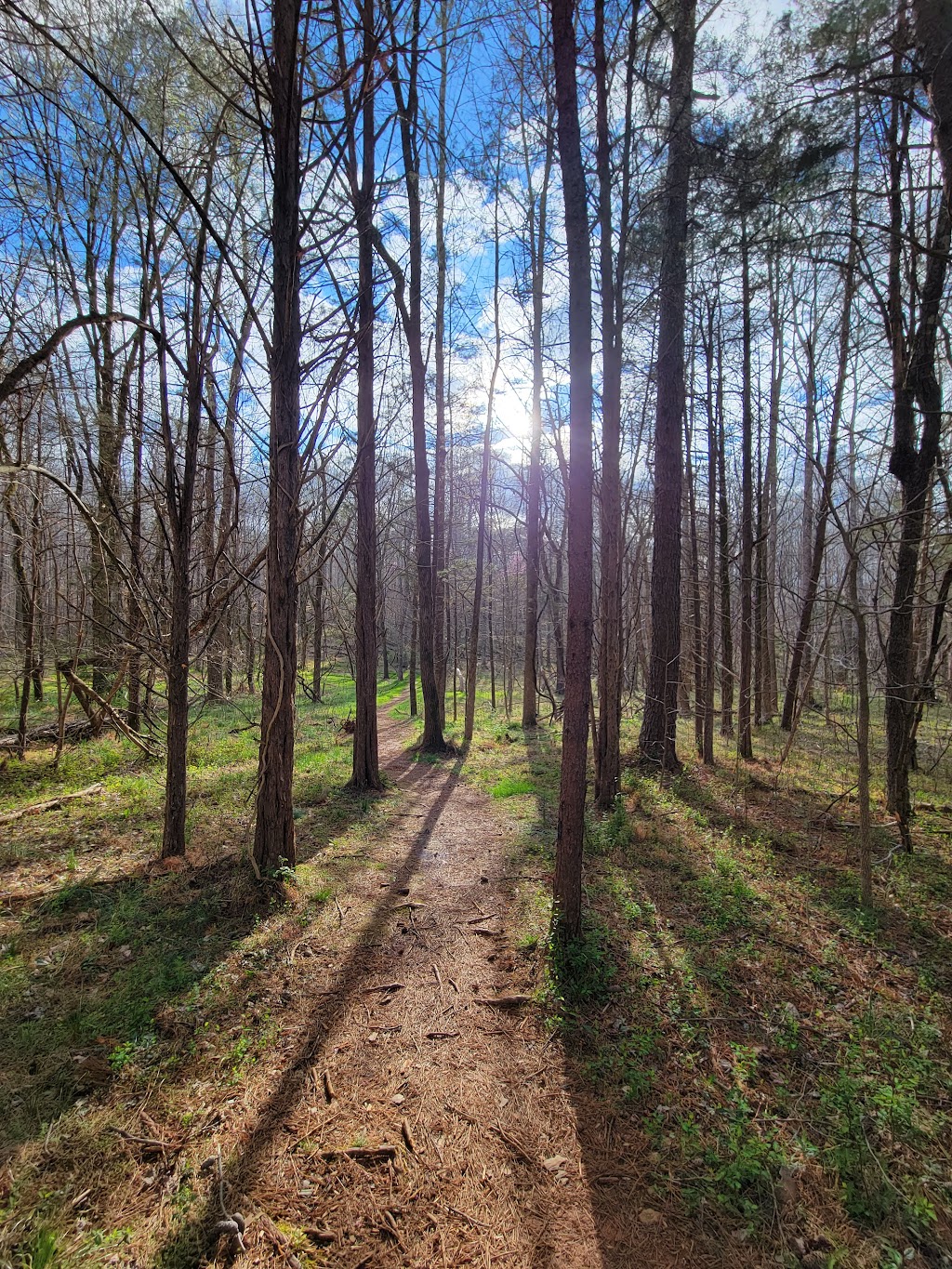 Seven Mile Creek Natural Area | 2201 Moorefields Rd, Hillsborough, NC 27278, USA | Phone: (919) 245-2660