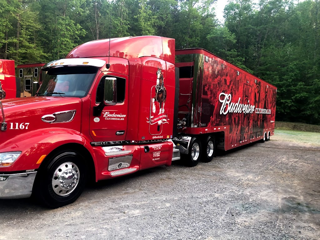 Mr Klean Carwash & Detail | 33510 US-280, Childersburg, AL 35044, USA | Phone: (205) 306-7417