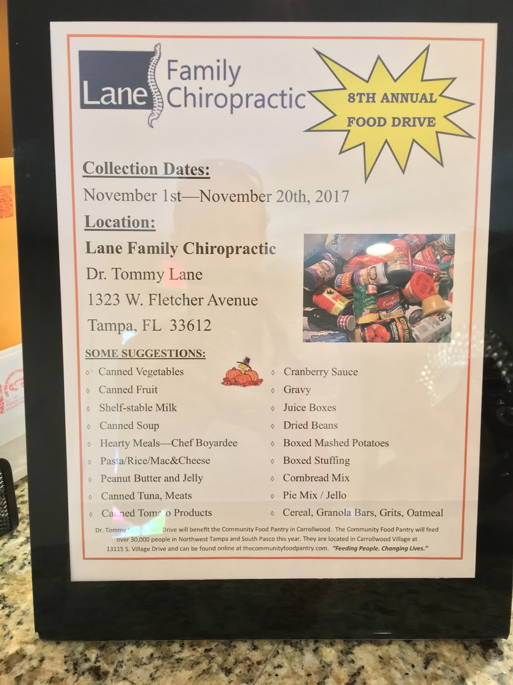 Lane Family Chiropractic | 1323 W Fletcher Ave, Tampa, FL 33612, USA | Phone: (813) 968-4293