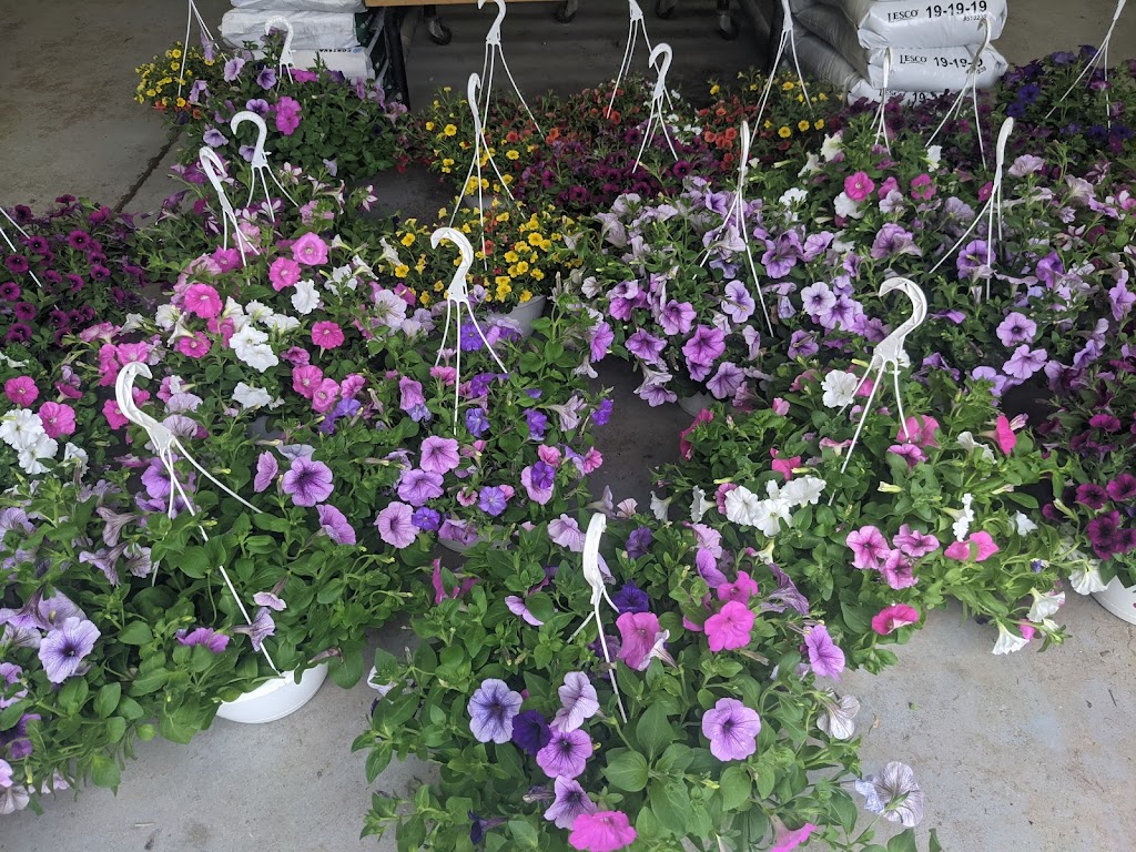 The Gardeners Choice & Randy Brown Landscape | 7580 Belleville Rd, Belleville, MI 48111 | Phone: (734) 697-1820