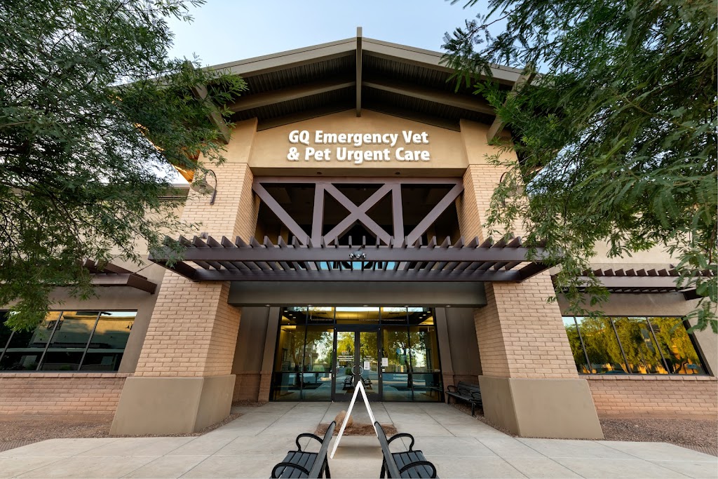 Gilbert Queen Creek Veterinary Surgical Specialist | 18610 E Rittenhouse Rd B Suite 102, Queen Creek, AZ 85142, USA | Phone: (480) 530-0180