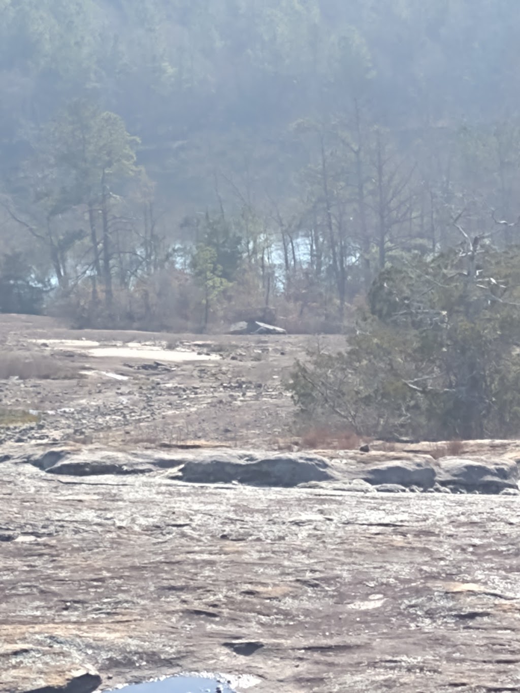 Davidson-Arabia Mountain Nature Center | Davidson-Arabia Mountain Nature Center, Stonecrest, GA 30038, USA | Phone: (770) 484-3060