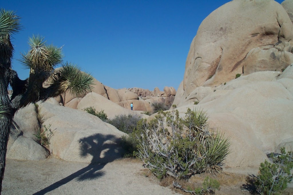 Panorama Pass | 49649 29 Palms Hwy Unit 355, Morongo Valley, CA 92256, USA | Phone: (866) 922-5602