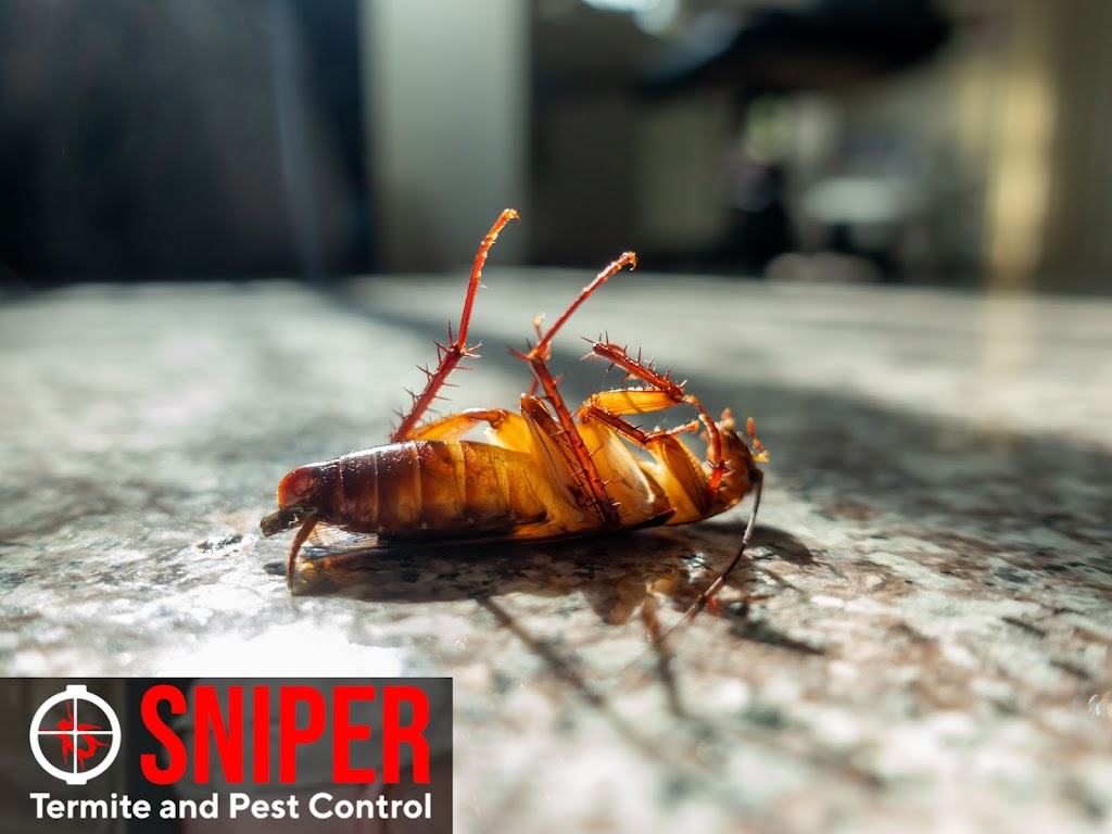 Sniper Termite and Pest Control Fort Worth | 1060 Cotton Depot Ln #642, Fort Worth, TX 76102, USA | Phone: (817) 497-8351