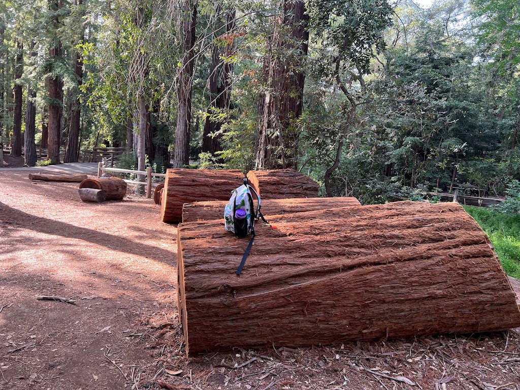 Redwood Grove Nature Preserve | 482 University Ave, Los Altos, CA 94022, USA | Phone: (650) 947-2790