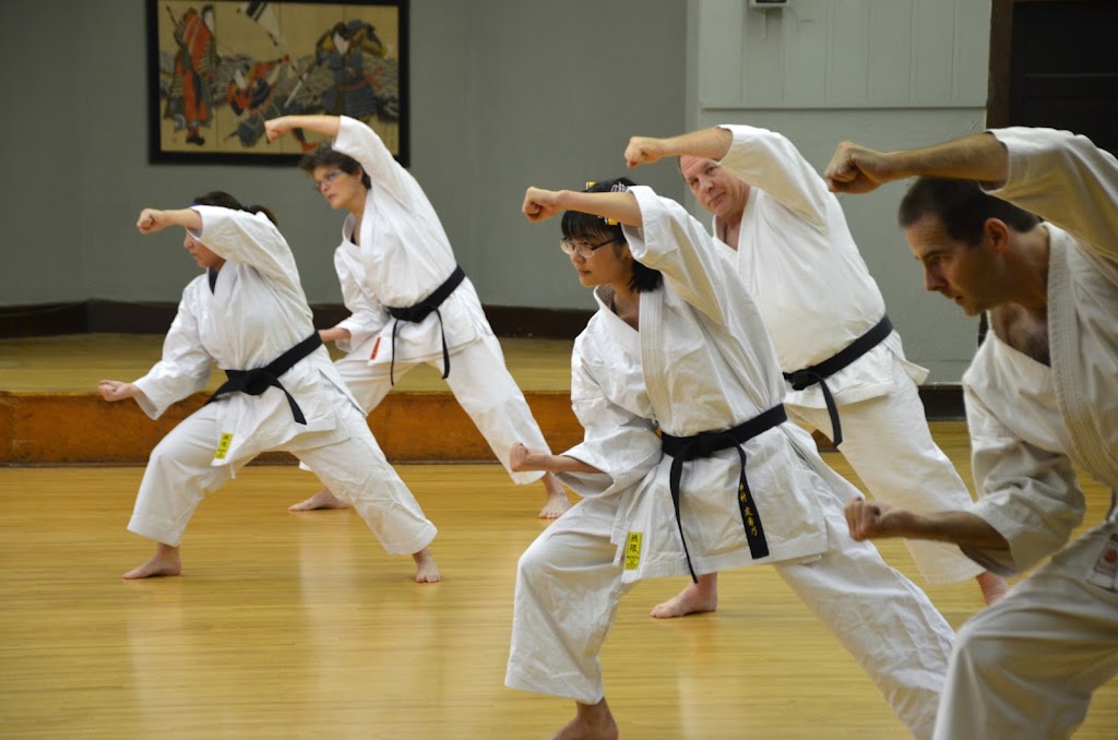 Kitsune Karate | 5600 S 34th Ave, Minneapolis, MN 55417, USA | Phone: (651) 253-2525