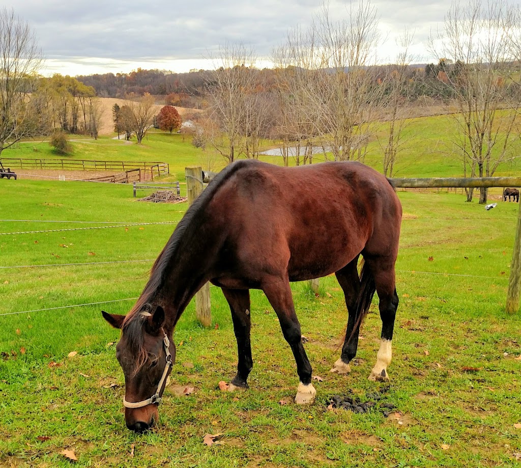Kane Horsemanship | 165 Sprowls Rd, Bentleyville, PA 15314, USA | Phone: (724) 239-4511