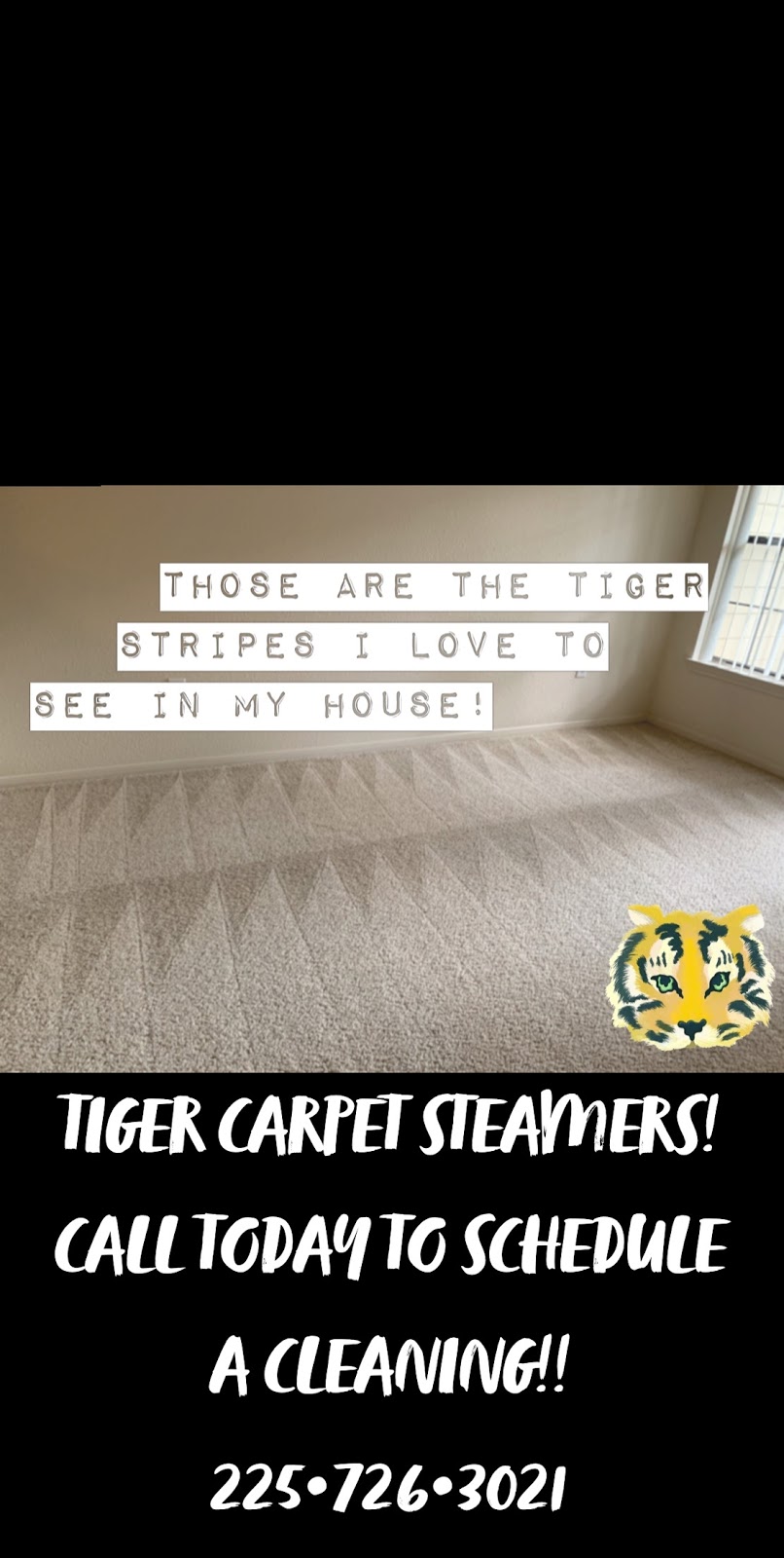 Tiger Carpet Steamers & Water Restoration | 20605 Benton Ln, Livingston, LA 70754, USA | Phone: (225) 726-3021