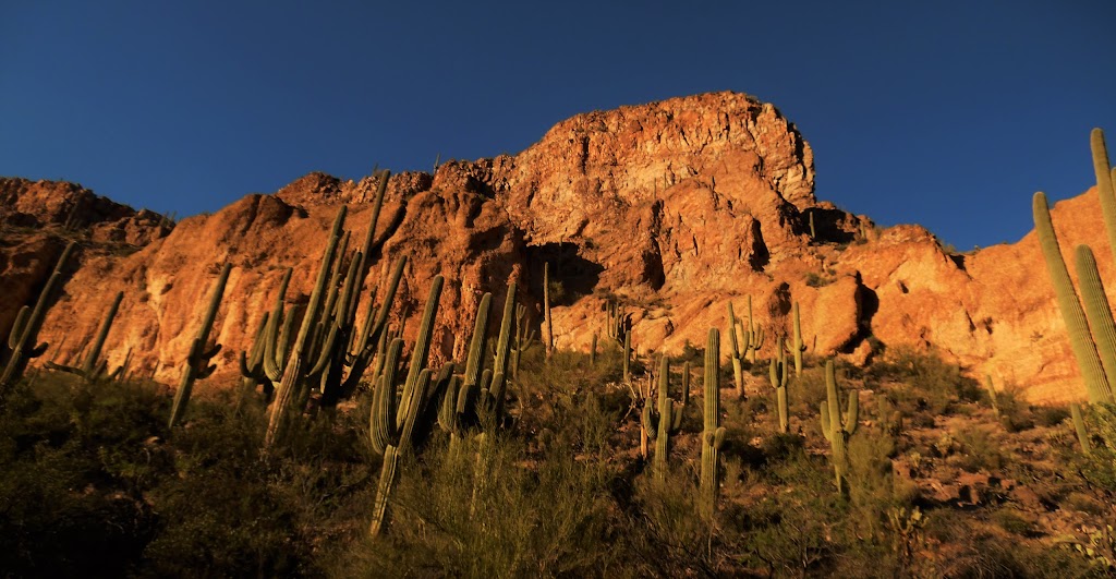 MTM Ranch Horseback Adventures | 43001 N Spur Cross Rd, Cave Creek, AZ 85331, USA | Phone: (480) 488-4538