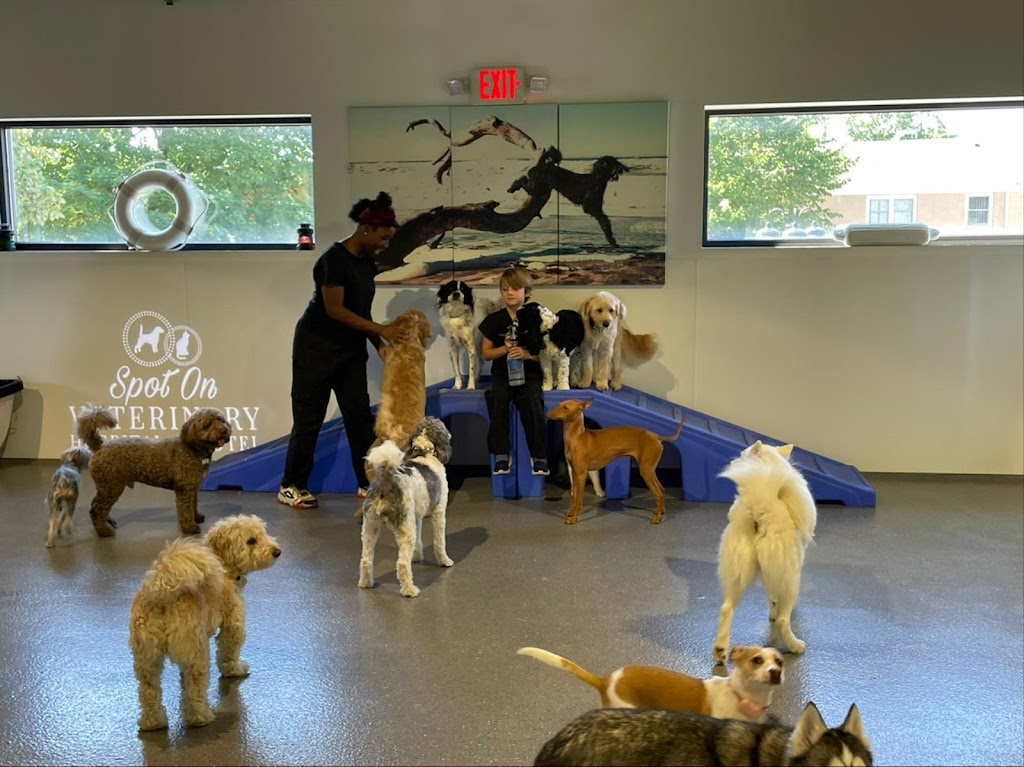 The Spot Costa Mesa | 1651 Placentia Ave, Costa Mesa, CA 92627, USA | Phone: (949) 891-4604