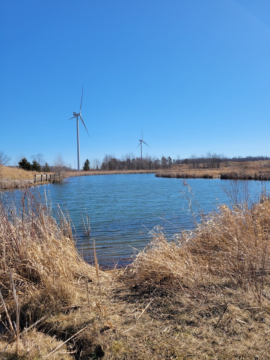 Gord Harry Conservation Trail Parking Lot | Gord Harry Conservation Trail, Wainfleet, ON L0S 1V0, Canada | Phone: (905) 788-3135