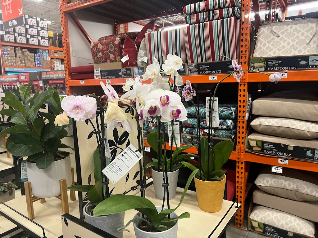 The Home Depot | 4120 GA-20, Buford, GA 30518, USA | Phone: (770) 831-5005