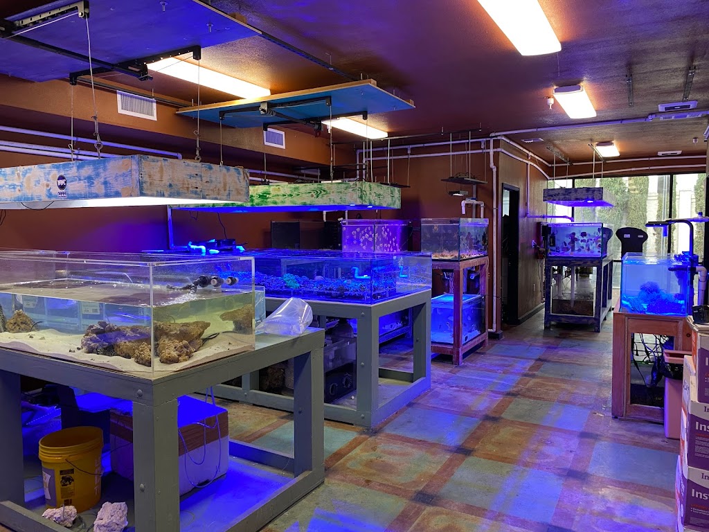 Violet Aquarium LLC | 1166 Campbell Ave, San Jose, CA 95126 | Phone: (408) 352-5339