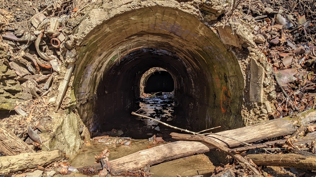 Dead Mans Hollow Conservation Area | 600 Scene Ridge Rd, McKeesport, PA 15133, USA | Phone: (412) 741-2750