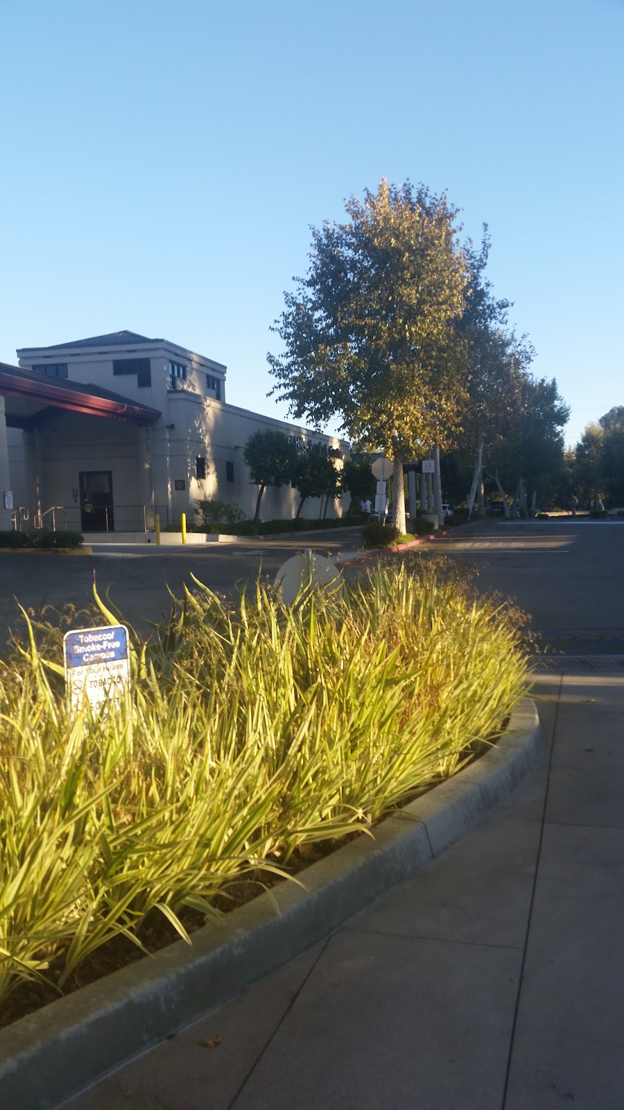 West Hills Surgical Center | 7240 Medical Center Dr, West Hills, CA 91307, USA | Phone: (818) 226-9151