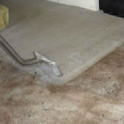 Steam Solutions Carpet Cleaning | 2610 Johnson Grass, San Antonio, TX 78251, USA | Phone: (210) 643-3812