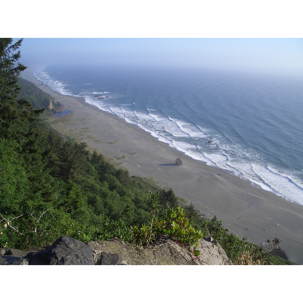 Body Ecology - Therapeutic Massage, Yoga, and Nature Experiences | 60 Liberty Ship Way #1, Sausalito, CA 94965, USA | Phone: (415) 847-7566