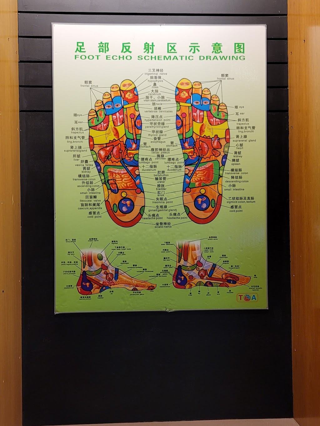 Pearl Massage Spa | 10000 Coors Bypass NW, Albuquerque, NM 87114, USA | Phone: (505) 557-5185