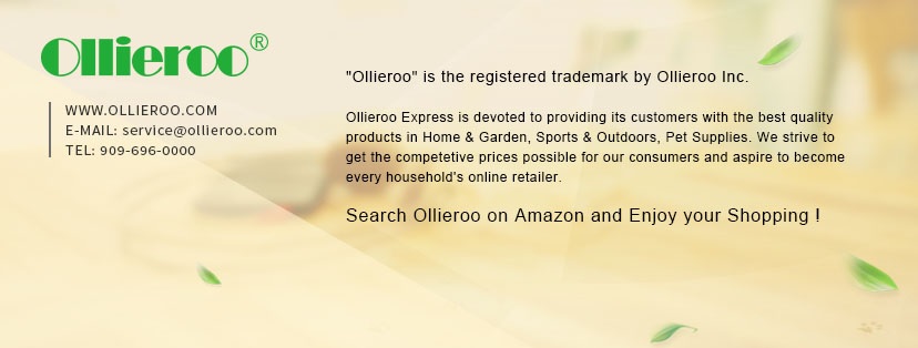 OLLIEROO INC. | 150 E Lambert Rd, Fullerton, CA 92835 | Phone: (909) 686-0000