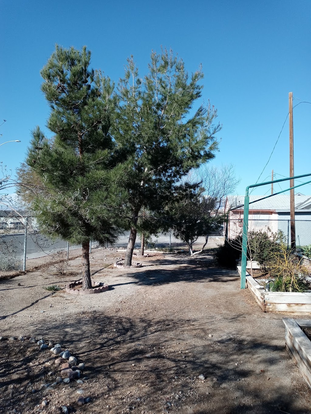 City of Las Vegas Community Garden | 1200 Blankenship Ave, Las Vegas, NV 89106, USA | Phone: (702) 229-6374