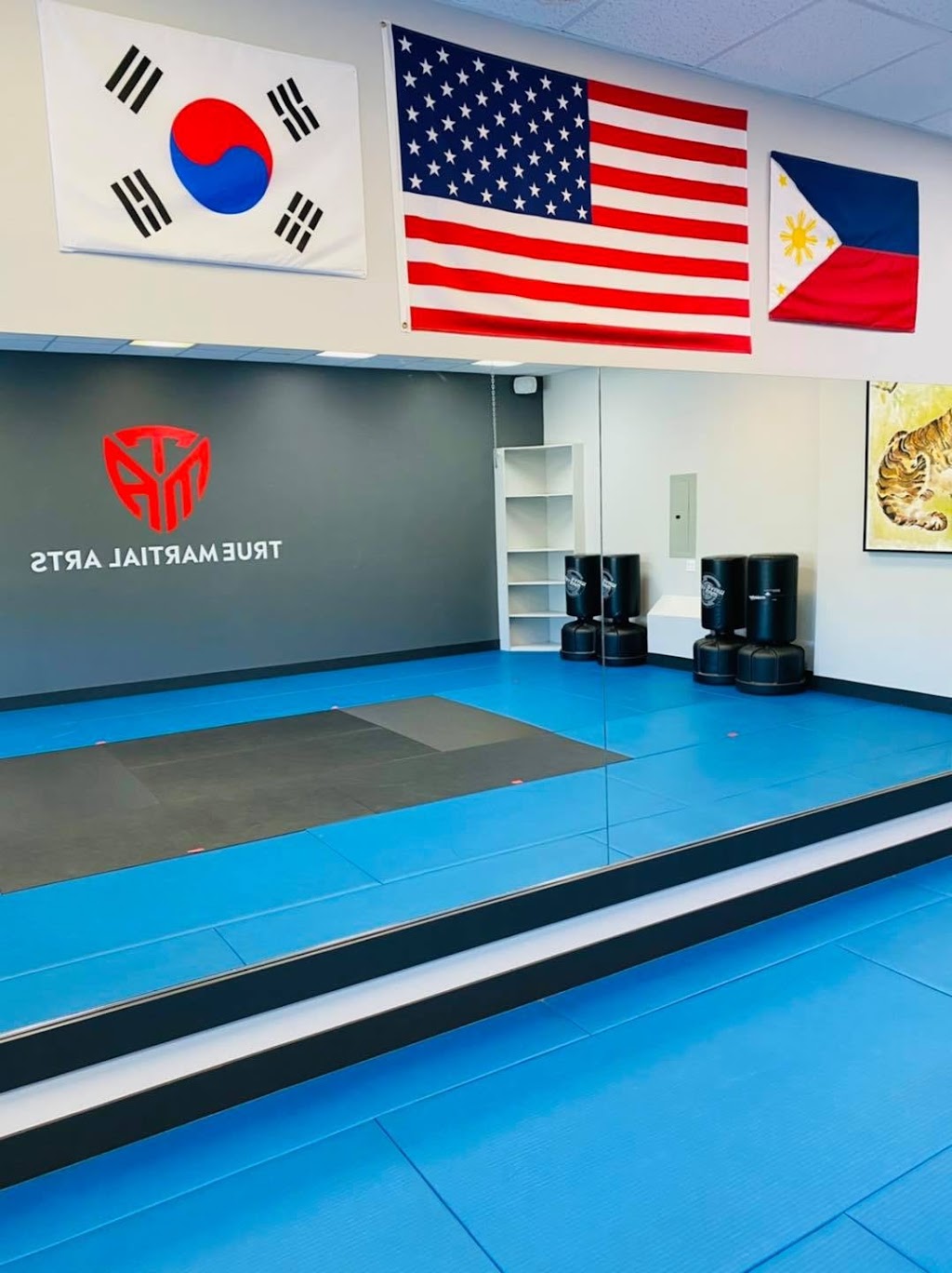 True Martial Arts | 2912 228th Ave SE D, Sammamish, WA 98075, USA | Phone: (425) 313-9680