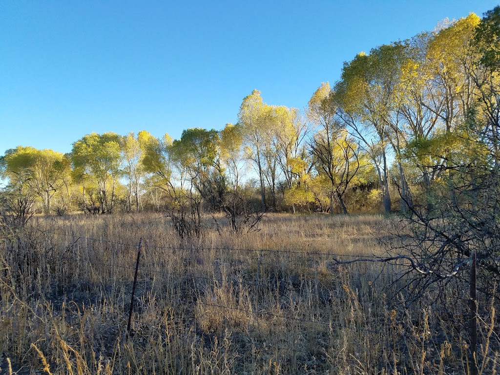 Las Cienegas National Conservation Area | 3201 E Universal Way, Tucson, AZ 85756, USA | Phone: (520) 258-7200