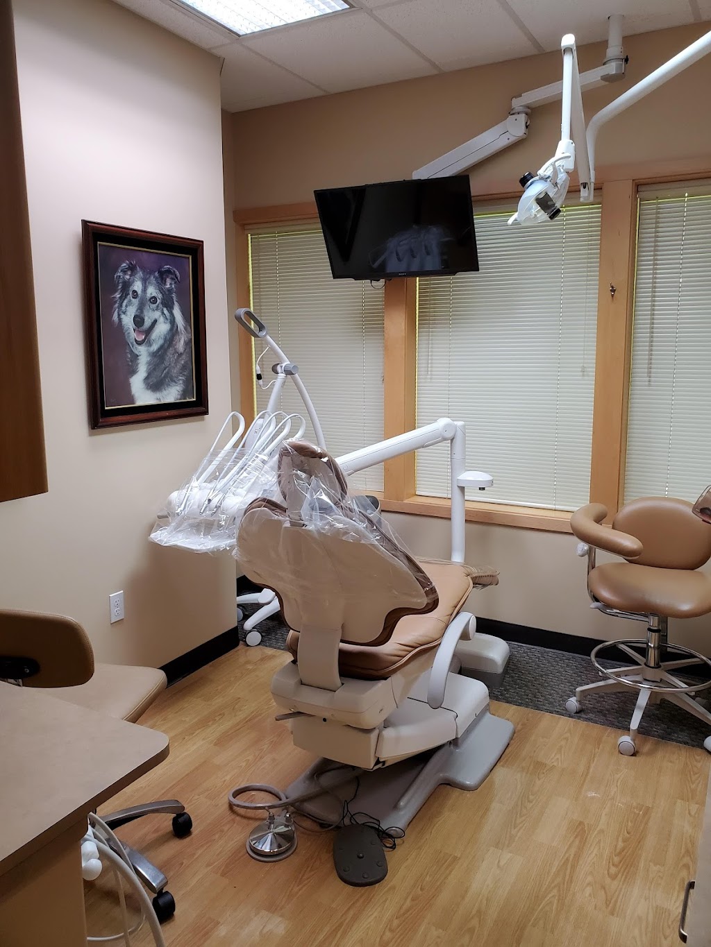 Thomas Quickstad Dentistry | 3707 Providence Point Dr SE Suite E, Issaquah, WA 98029, USA | Phone: (425) 391-1331