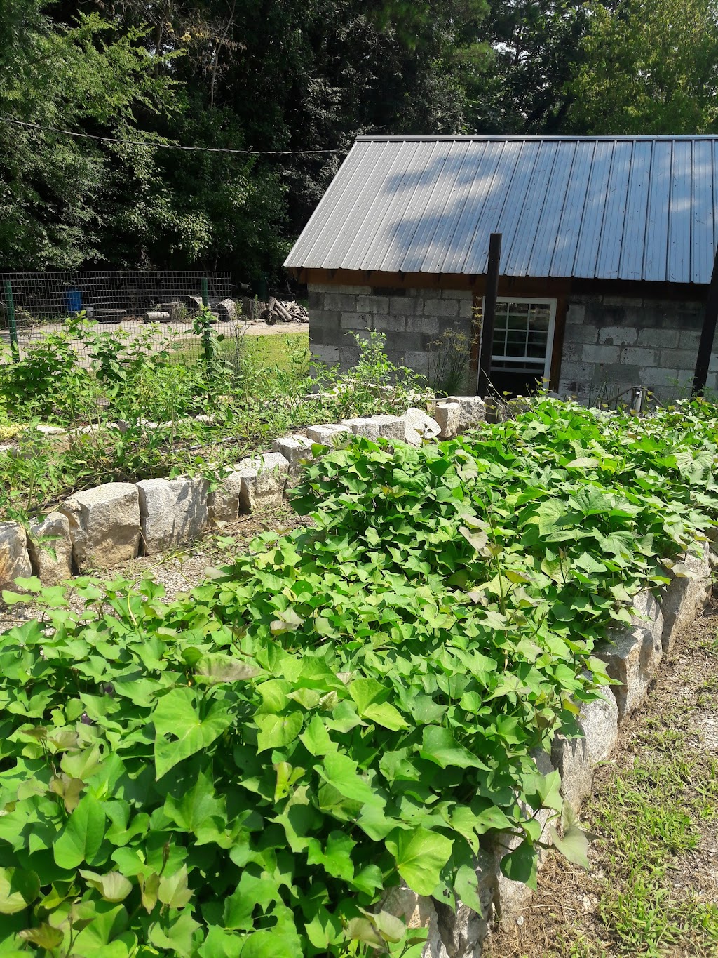 Chastain Park Conservancy | 4001 Powers Ferry Rd NW, Atlanta, GA 30342, USA | Phone: (404) 237-2177