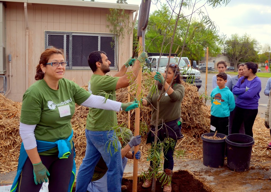 Dearborn Elementary Charter Academy | 9240 Wish Ave, Northridge, CA 91325, USA | Phone: (818) 349-4381