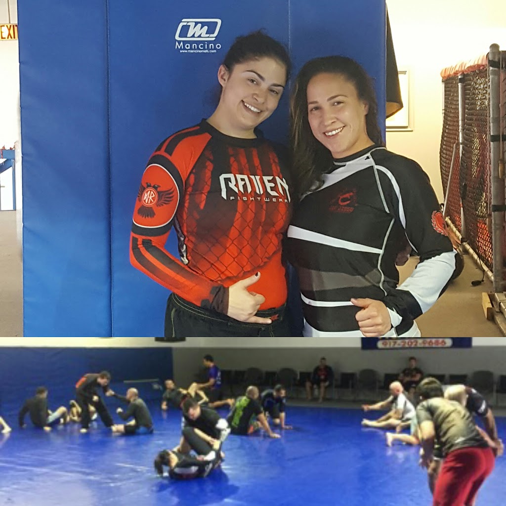 Codella Brazilian Jiu Jitsu Academy | 3755 Victory Blvd, Staten Island, NY 10314, USA | Phone: (716) 650-4161 Codella Brazilian Jiu Jitsu Academy | 3755 Victory Blvd, Staten Island, NY 10314, USA | Phone: (716) 650-4161