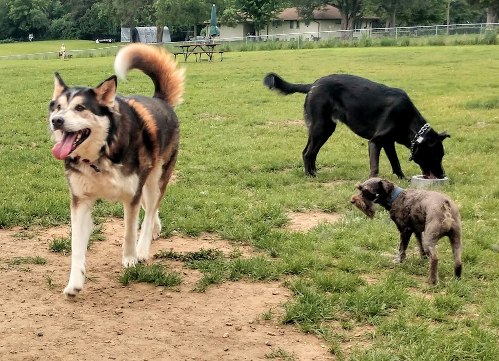 City Of Mendota Heights Off-leash Dog Area | Acacia Blvd, Mendota Heights, MN 55120 | Phone: (651) 452-1850