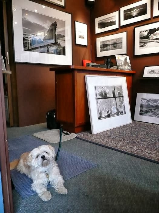 Marty Knapp Photography Gallery | 11245 Shoreline Hwy, Point Reyes Station, CA 94956, USA | Phone: (415) 663-8670