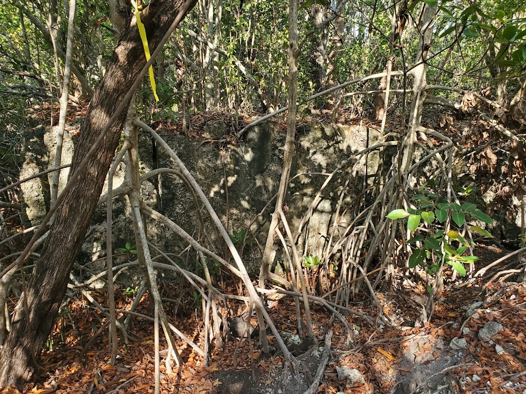 Windley Key Fossil Reef Geological State Park | 84900 Overseas Hwy, Islamorada, FL 33036, USA | Phone: (305) 664-2540