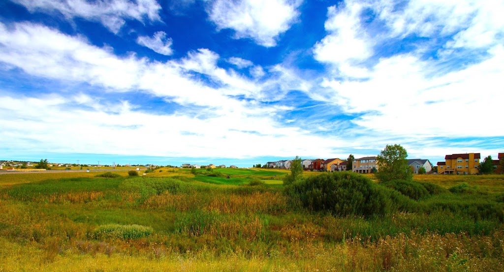 Double Eagle Trail | Tourmaline Dr, Peyton, CO 80831, USA | Phone: (719) 495-6567