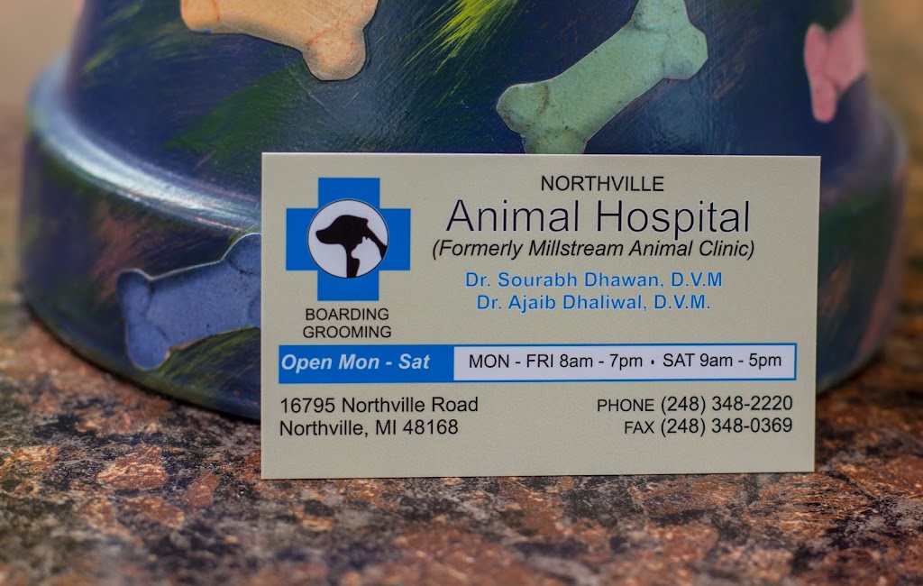 Northville Animal Hospital | 16795 Northville Rd, Northville, MI 48168, USA | Phone: (248) 348-2220