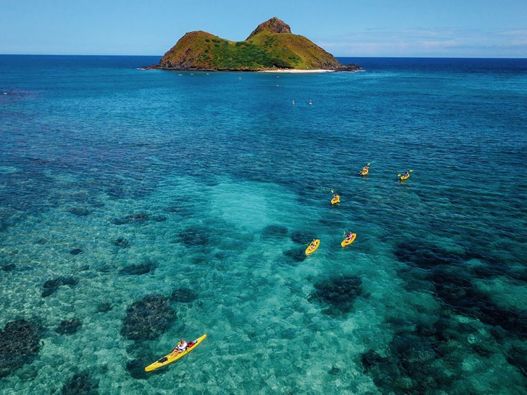 Kailua Beach Adventures | 130 Kailua Rd, Kailua, HI 96734, USA | Phone: (808) 262-2555