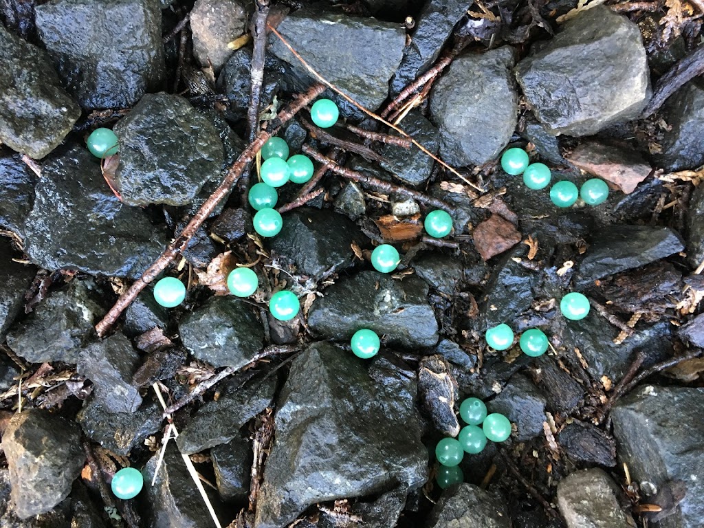 Stone Cold Beads | 66 McKenzie Ln, Port Ludlow, WA 98365, USA | Phone: (206) 450-7947
