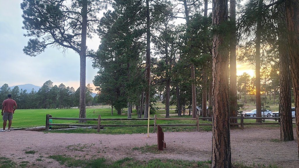 Black Forest Regional Park | 4800 Shoup Rd, Colorado Springs, CO 80908, USA | Phone: (719) 520-7529