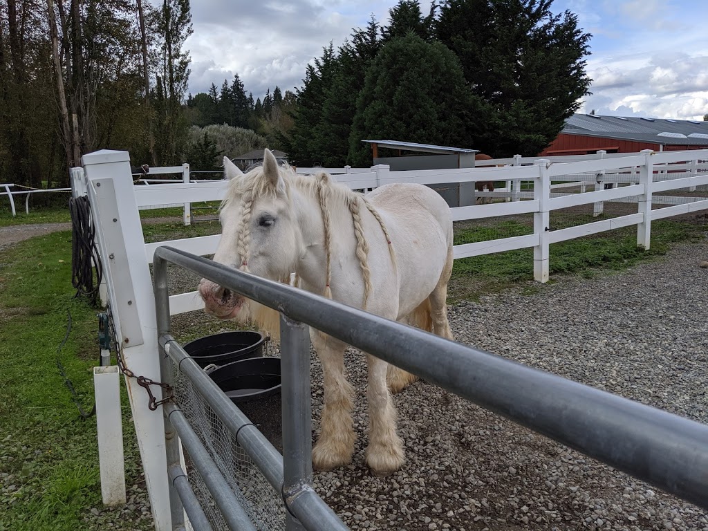 Little Bit Therapeutic Riding | 18675 NE 106th St, Redmond, WA 98052, USA | Phone: (425) 882-1554