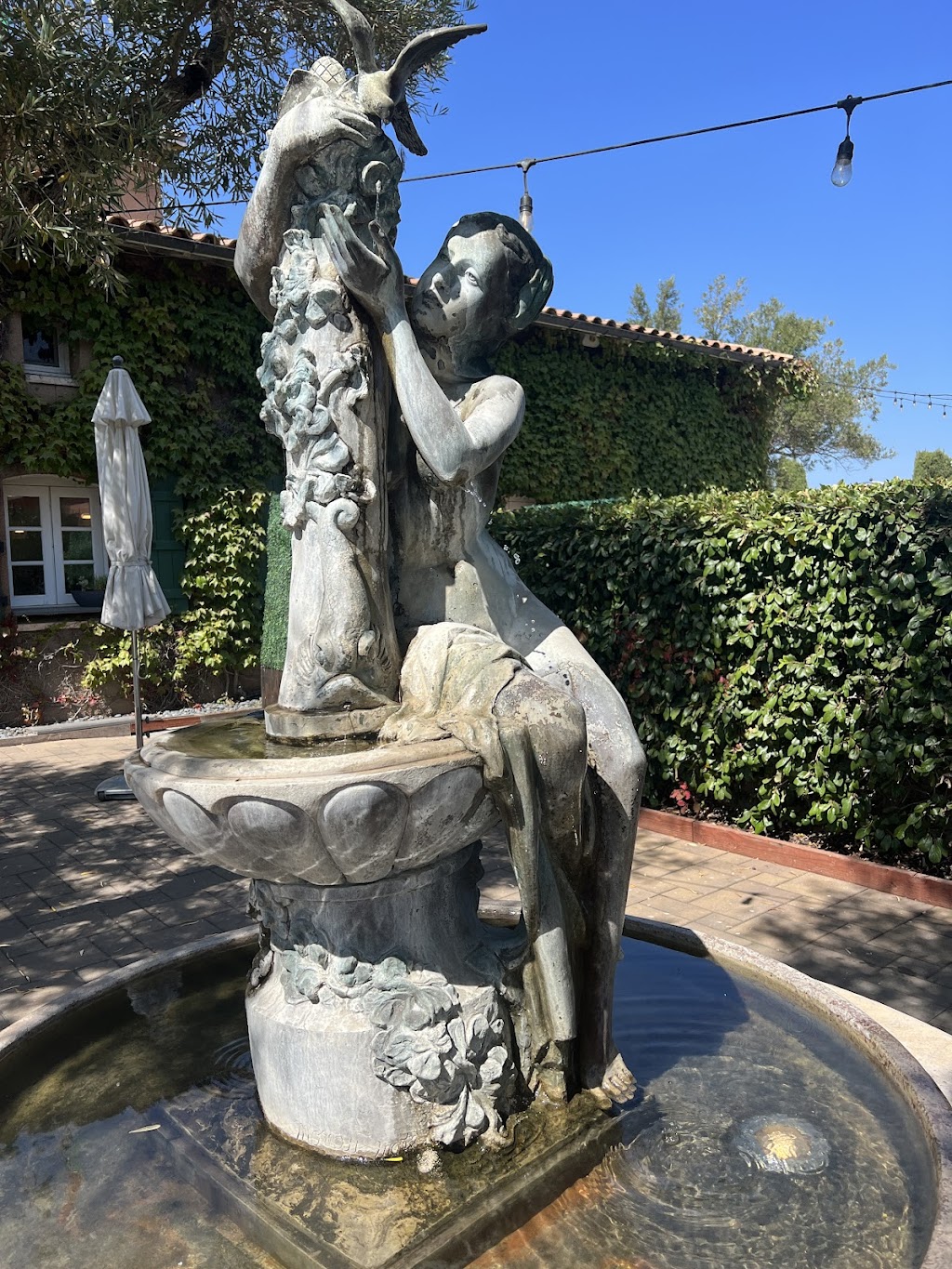 Viansa Winery | 25200 Arnold Dr, Sonoma, CA 95476, USA | Phone: (800) 995-4740