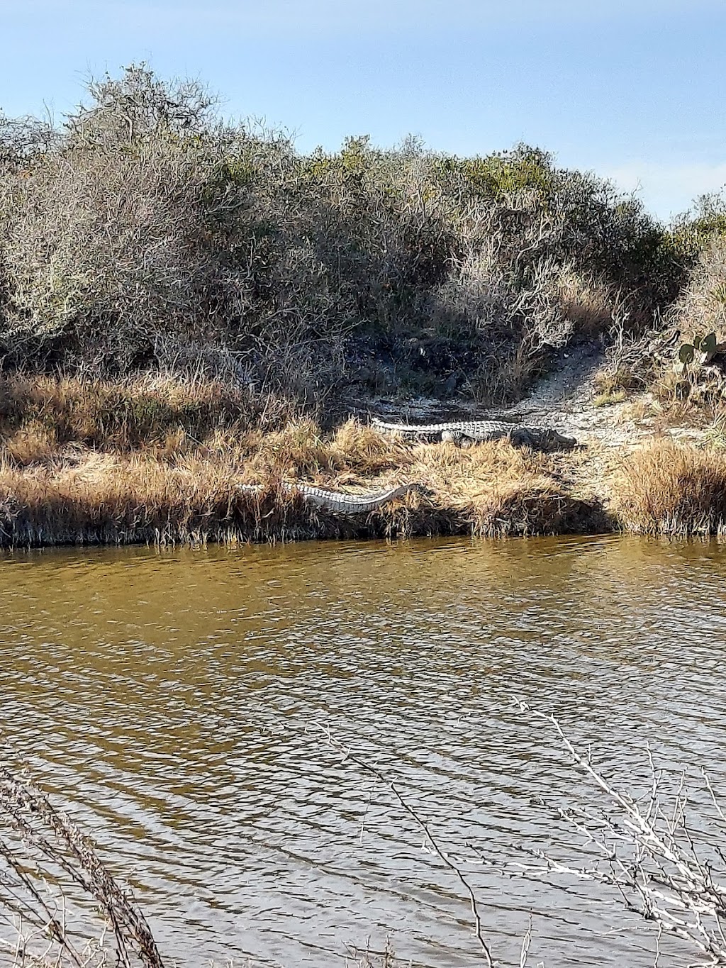 The Claude F. Lard Visitor Center | 1 Wildlife Circle, Austwell, TX 77950, USA | Phone: (361) 349-1181