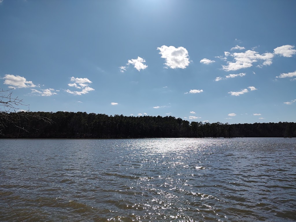 Jordan Lake Educational State Forest | 2832 Big Woods Rd, Chapel Hill, NC 27517, USA | Phone: (919) 542-1154