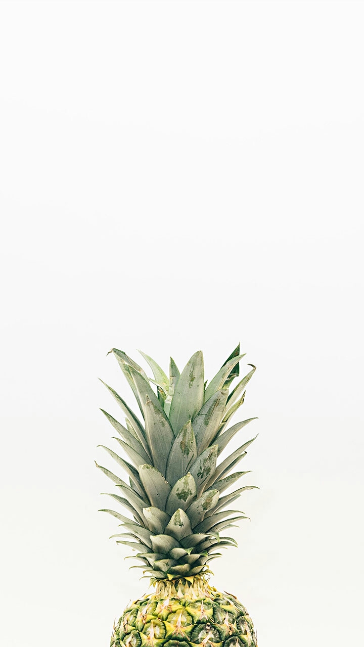 New Hope Stables | 104 Atkins Way, Hertford, NC 27944, USA | Phone: (252) 312-9994