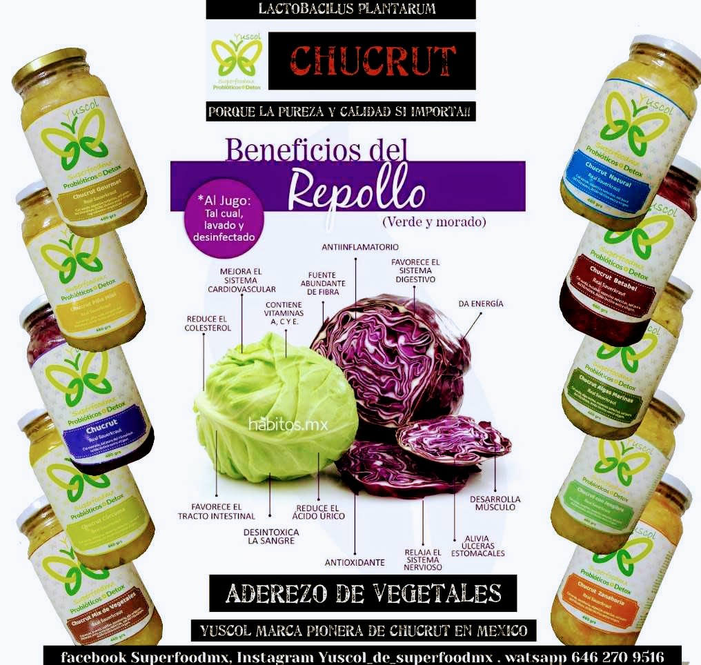 Yuscol Mx | Aguascalientes #72, Ejido Ruiz Cortines, 22810 Ensenada, B.C., Mexico | Phone: 664 123 3077