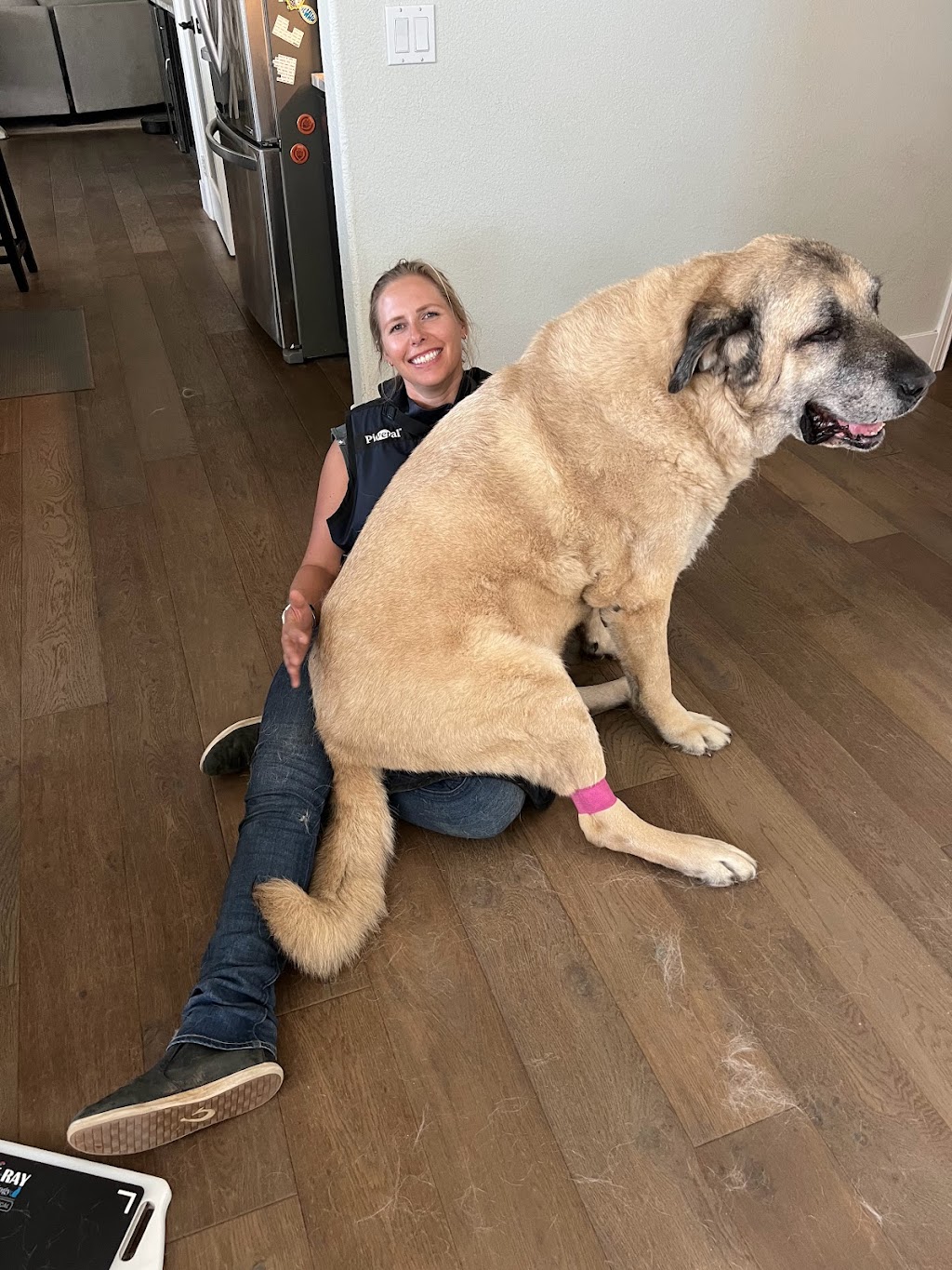 The Visiting Vet North County | Vía Puerta Del Sol, Bonsall, CA 92003, USA | Phone: (760) 420-5523
