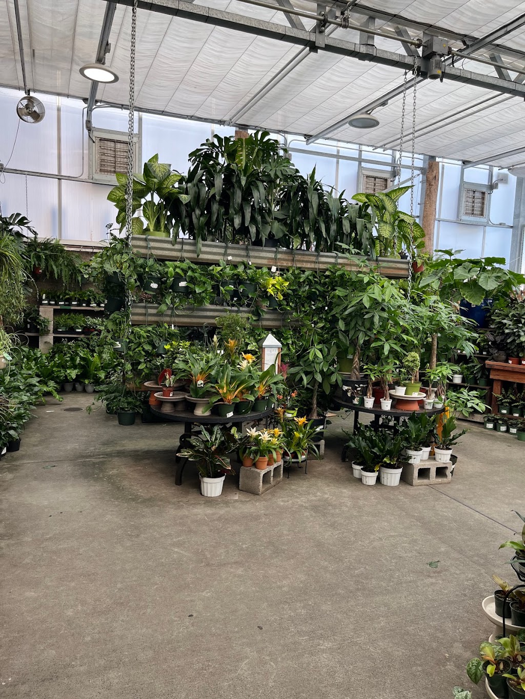 Green Acres Nursery & Supply | 5436 Crossings Dr, Rocklin, CA 95677, USA | Phone: (916) 824-1310