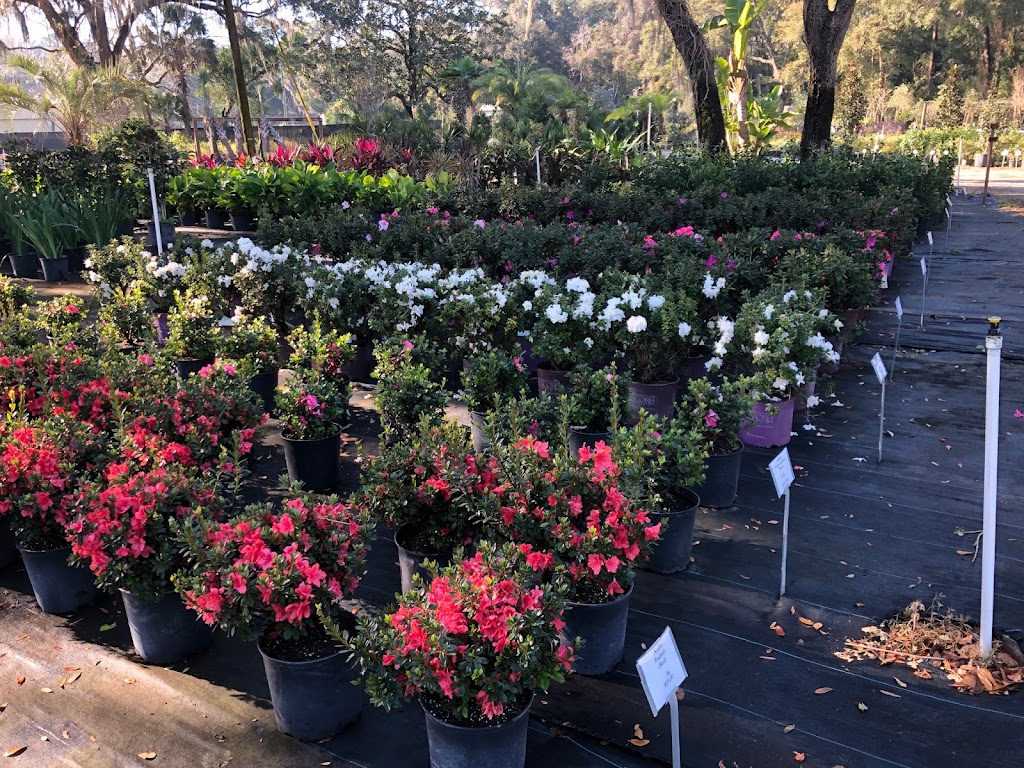 CML Garden Center | 10181 N Broad St, Brooksville, FL 34601, USA | Phone: (352) 777-4528