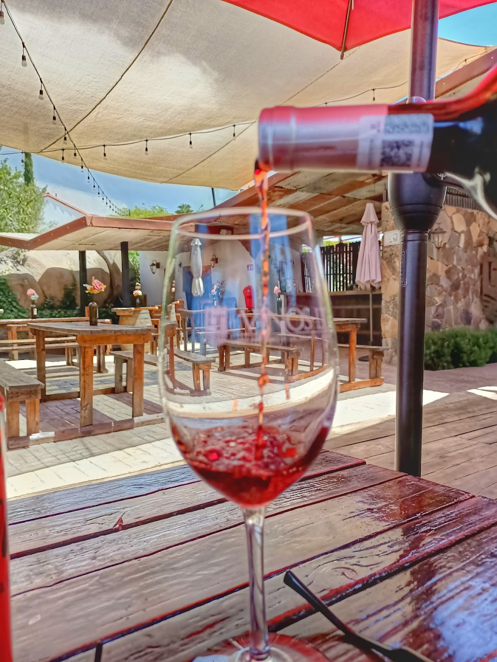 Vinos LT | Ignacio Comonfort Lt 4 Mz 18, San Antonio de las Minas, 22766 Villa de Juárez, B.C., Mexico | Phone: 661 616 0543